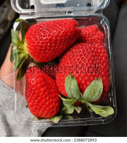 Closeup Giant Strawberry from market place