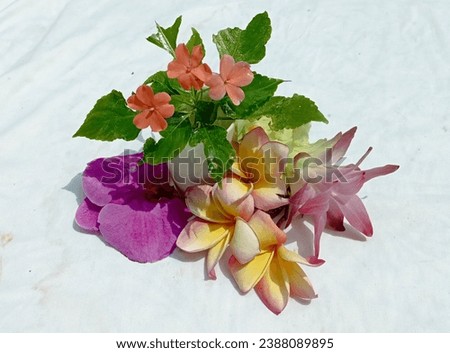 The bouquet of various cool flower combinations, will warm the hearts of anyone who sees it.