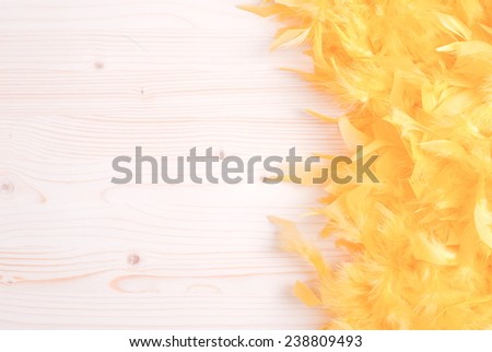 yellow feather boa on light board on the left with space for text