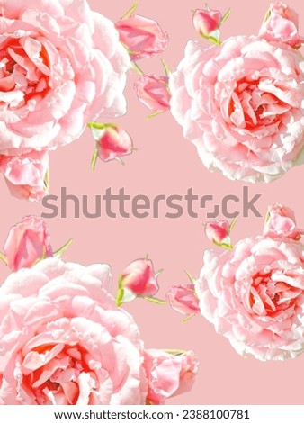 Nature background and flowers, purple, pink, white, orange, red flowers.