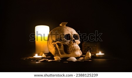 Photo of a skull in plastic and some sea shells. I wanted to give the photo a pirate look.