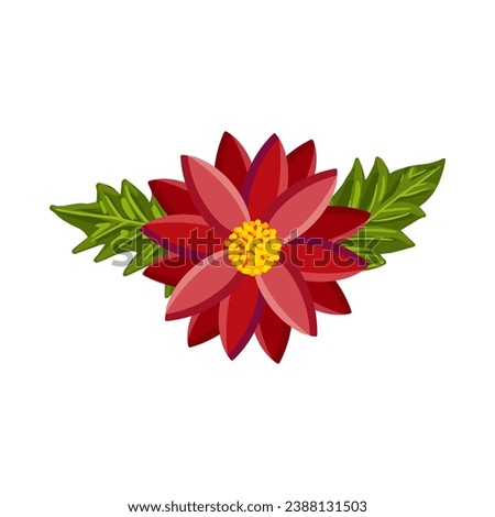 Bright colorful flower with leaves. Botanical vector illustration isolated on white background for postcard, poster, ad, decor, fabric and other uses.