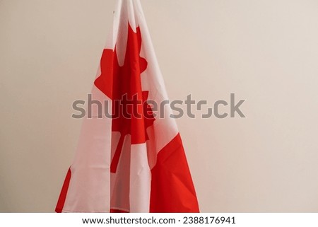 Canada flag waving on white background