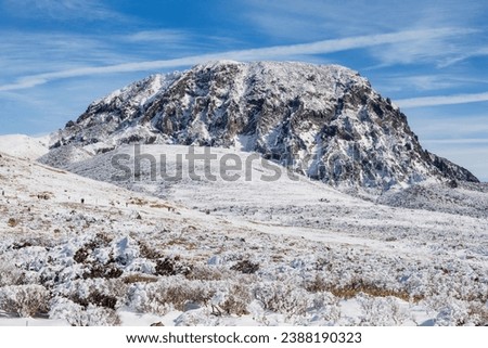 High angle view of hikers walking on snow covered hiking trail of Witse Oreum against crater of Hallasan Mountain near Jeju-si, Jeju-do, South Korea
 Royalty-Free Stock Photo #2388190323