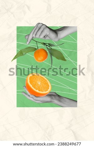 Collage artwork minimal picture of arms growing citrus orange fruit plant isolated graphical green color background