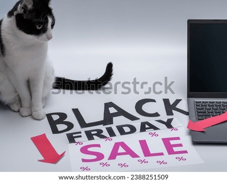 The cat sits next to the computer and the words BLACK FRIDAY SALE