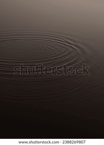 Ripples on the surface of the water at sunset