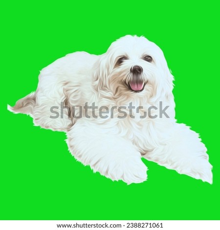 Cute dog with green screen background