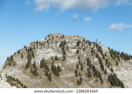 pine trees on mountain slopes Royalty-Free Stock Photo #2388281869