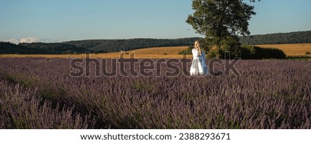 A girl in a white summer dress walks through a lavender field, warm sunset, panoramic photo. Lavender fields near Lviv, Ukraine. Blooming lavender in summer. Selective focus