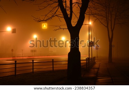 Road and trees in fog, European winter, street in fog, frosty mist
