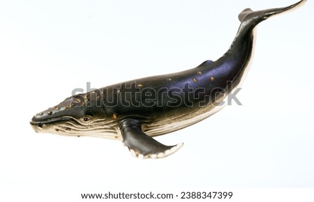 Humpback Whale: Migratory baleen whale known for its complex songs. Royalty-Free Stock Photo #2388347399