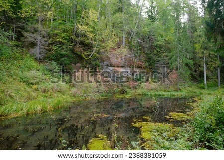 Ancient red sandstone cliffs in Latvia. Old river tributary with green aquatic plants.
