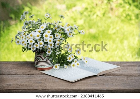 Old retro age rural art weed sun light yard bar board desk bench text copy space. Happy joy love relax bright lush bloom petal plant bunch symbol decor greet eco day card close up scenic view banner