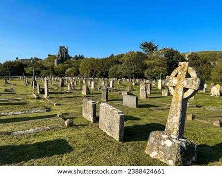 Graveyard in the late afternoon sun. 