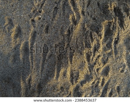 Beach Sand Background with Crab Tracks Motif