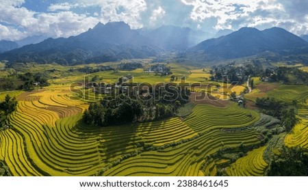 Terrace rice field in Sapa, Vietnam