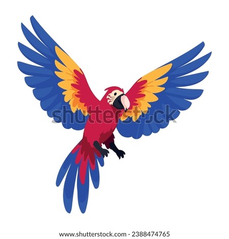 colombian culture macaw illustration design