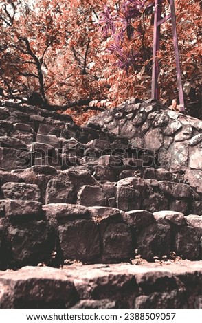 stone steps with a beautiful spring atmosphere