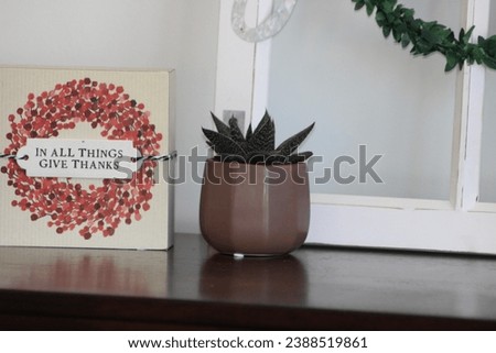 A gasteraloe succulent plant that is sitting on a wooden mantle.