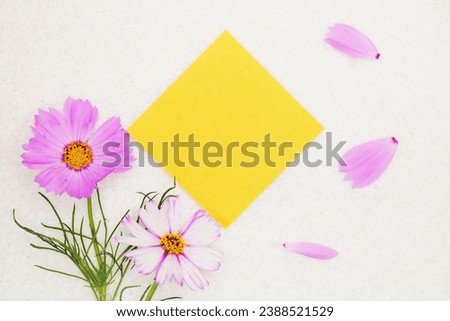 Mockup of diagonally placed yellow title space with pink cosmos flowers on white background