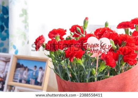 Family photo and red carnation for Mother's Day (Mother's Day image)