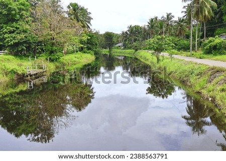 Clear water canal that stretches along the road