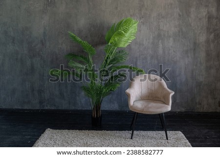 Office chair and green palm tree in grey room interior