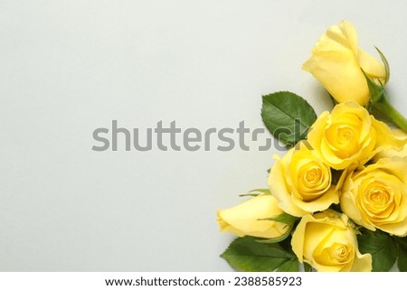 Beautiful yellow roses on light grey background, flat lay. Space for text