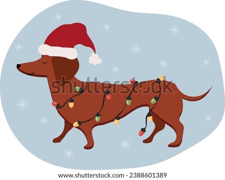 A dog with a garland, wearing a Santa hat. Dachshund. Vector.