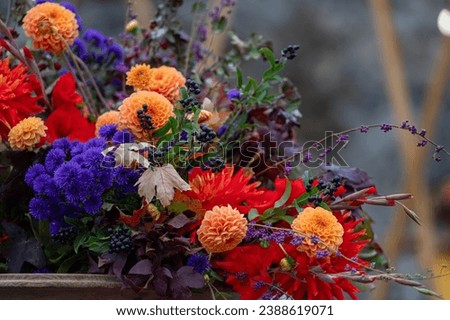 Colorful bouquets of autumn flowers on defocused background with free space for text