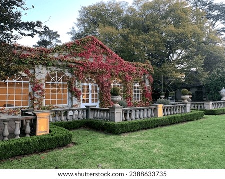 Historic Milton Park Country House, Bowral, New South Wales, Australia
indoor pool building with ivy walls Royalty-Free Stock Photo #2388633735