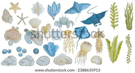 set with marine elements of flora and fauna