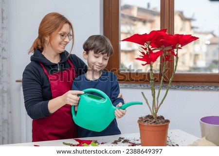 Mother and her son watering poinsettia at home. Royalty-Free Stock Photo #2388649397