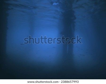 Pictured under the pier. Underwater photo. Sea, ocean, marine