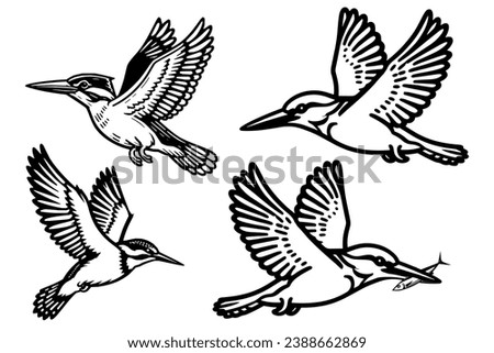 simple black and white line art illustration features a kingfisher bird, flying, catching fish, only black color with transparent or negative space