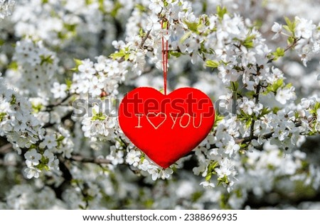 A symbol of love among the branches of a blooming cherry tree
