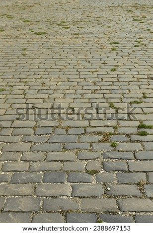 Photo of the site of a long and old worn paving slab
