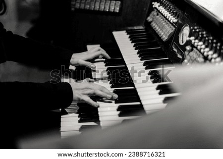 Piano player at the concert