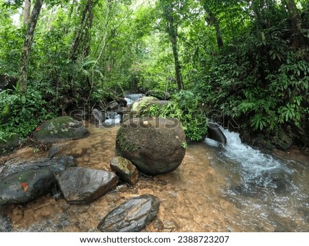 Waterfall at the nature trail at Khao Sok National Park Surat Thani Province, Thailand Royalty-Free Stock Photo #2388723207