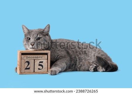 Cute cat with cube calendar on blue background