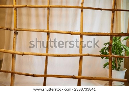 Wooden uneven lattice in a room with green flower or plant. Abstract background, texture, location, frame, copy space. Interior