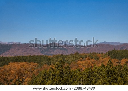 Beautiful Mt. Dainichi with vivid autumn leaves seen from Hirugano Plateau in November