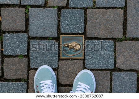 Feet in sneakers stand on antique paving stones; a copper tile with a picture of a rat is built into the paving stones.