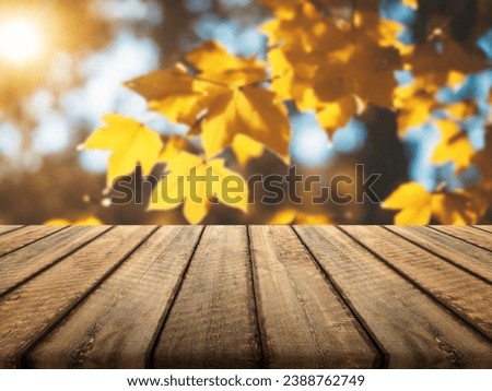 Colored fall leaves and wooden board, natural background