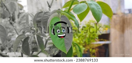 A simply emoji at a leaf black and white