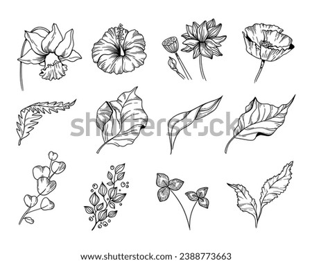 Set of flowers sketches. Trendy hand drawn botanical elements, line leaves and flowers, plants. Elegant wildflowers for invitation, cards, prints. Vector isolated clip arts
