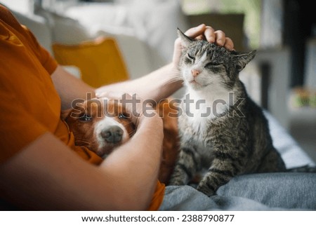 Man sitting on sofa with domestic animals. Pet owner stroking his old cat and dog together.
 Royalty-Free Stock Photo #2388790877
