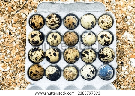 A picture of quail eggs in a box against a background of sandy beach, grass and flowers for poultry advertising