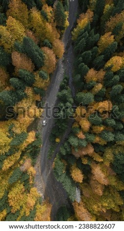 The magnificent colors of autumn were captured with a drone